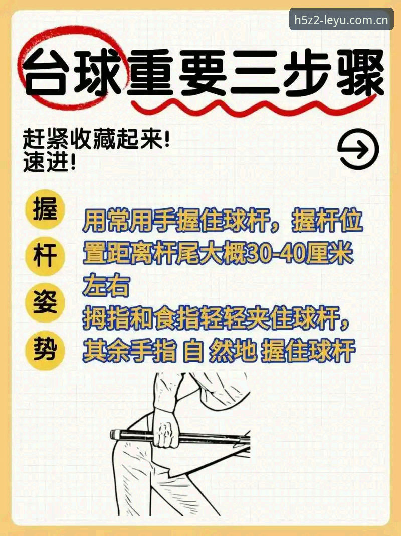 掌握leyu官方体育平台功能详解的实用指南：从新手到高手的必备知识