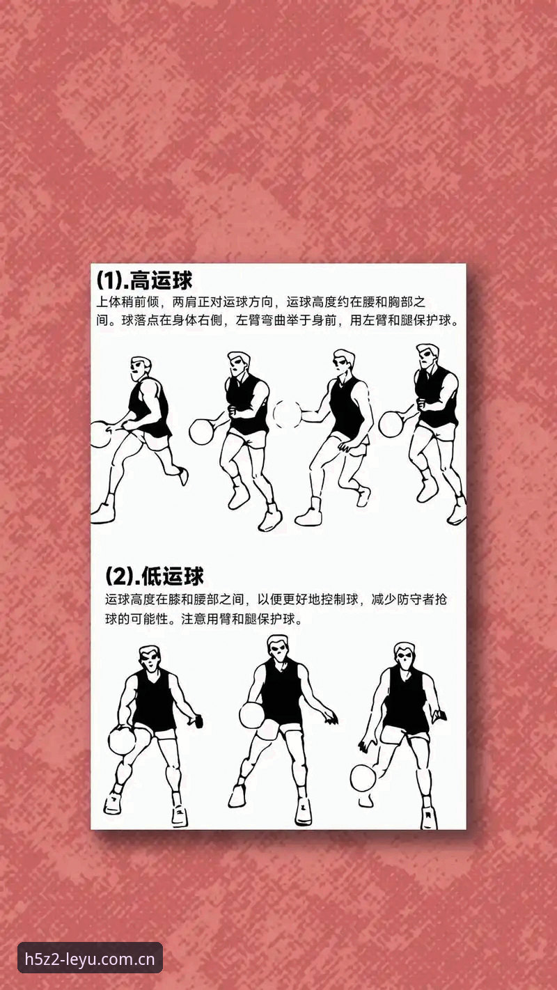掌握leyu官方体育平台功能详解的实用指南：从新手到高手的必备知识